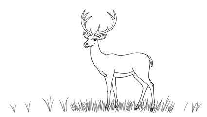 Fototapeta premium black and white deer pictures for coloring