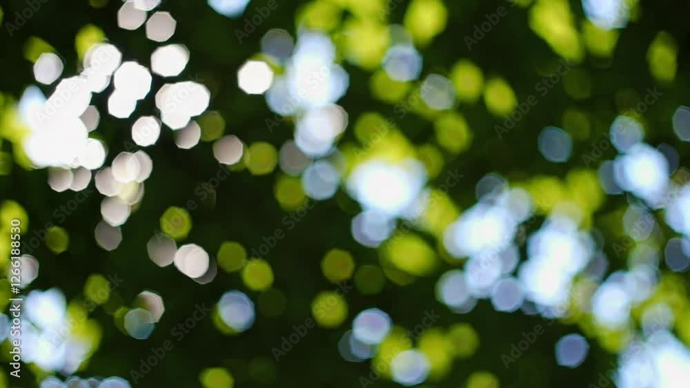 Poster bokeh effect with sunlight filtering through leaves, abstract nature background. tranquil and calming concept