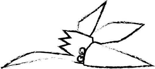 イカ色無し鉛筆風