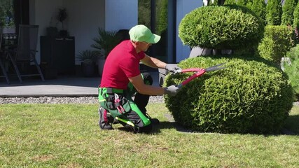 Professional Gardener Shapes Decorative Shrub in Residential Yard