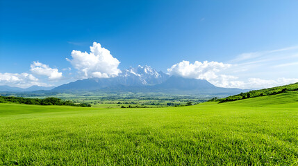 Fototapeta premium Sunny day, green meadow, mountain view, peaceful landscape