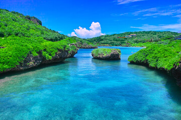 真夏の宮古島。イムギャーマリンガーデンの風景
