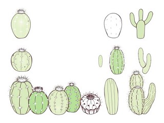 Hand drawn linear vector illustrations of various types of cactus plants, collection, prickles, green