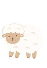 Cute sheep cartoon illustration