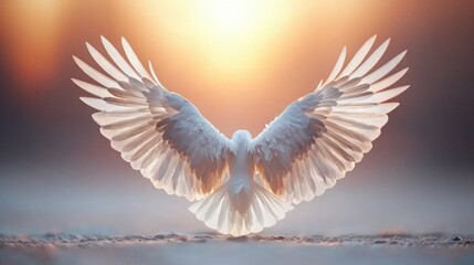 Obraz premium Majestic White Bird Sunset Wings Spread Freedom Power Flight