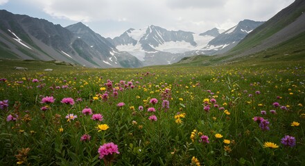 Exploring Mountain Meadow with Wildflowers and Snowy Peaks in Background