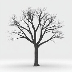 Fototapeta premium tall, leafless tree with intricate branches stands against white background, showcasing its stark beauty and intricate structure. tree dark bark contrasts sharply with light backdrop