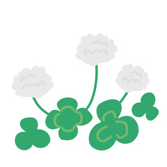 シロツメクサの花のベクターイラスト