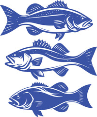 Three blue stylized bass fish illustrations.