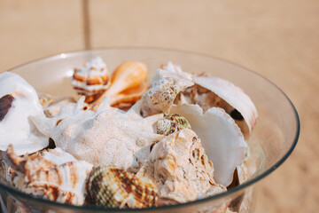 Shells of different sizes and types in glass close-up on sandy beach background