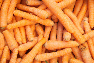Freshly harvested carrots piled together at a market