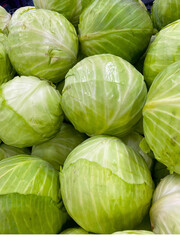 Round cabbage on the counter in the store. Trade in vegetables in the wholesale and retail network. Close-up A bunch of fresh green cabbage