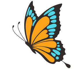 Butterfly colorful hand drawn illustration