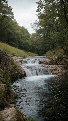 Serene cascading waterfall in lush forest.