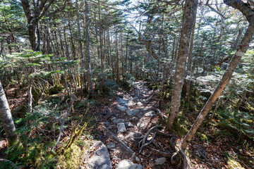 Kinpusan, Mt. Asahidake and surrounding views