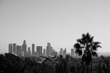 Black and white los angeles downtown landscape