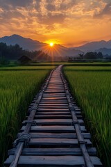 Fototapeta premium A wooden bridge crossing a narrow stream in the middle of a vibrant rice field, leading towards the rising sun. The vast sky provides an excellent area for advertisements