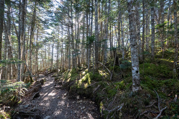 Obraz premium Kinpusan, Mt. Asahidake and surrounding views