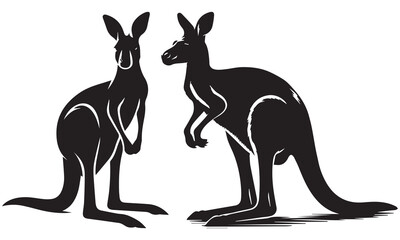 kangaroo vector illustration