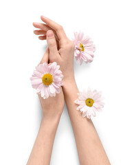 Beautiful female hands with chrysanthemum flowers on white background