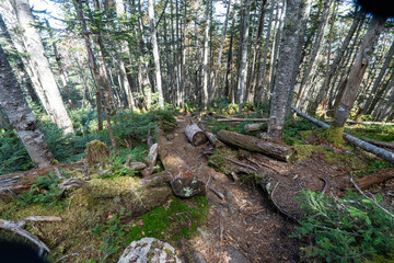 Kunishigatake, Koubushigatake and surrounding views