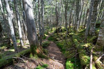 Kunishigatake, Koubushigatake and surrounding views