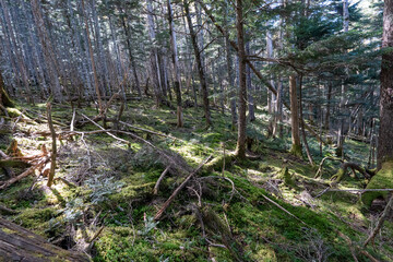 Kunishigatake, Koubushigatake and surrounding views