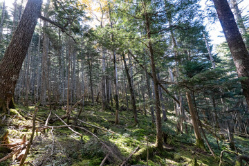 Obraz premium Kunishigatake, Koubushigatake and surrounding views