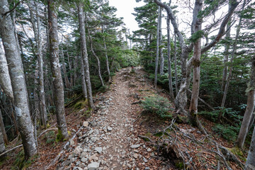Kunishigatake, Koubushigatake and surrounding views