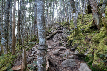 Kunishigatake, Koubushigatake and surrounding views