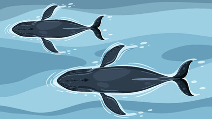 Whales Swimming in Ocean Waters