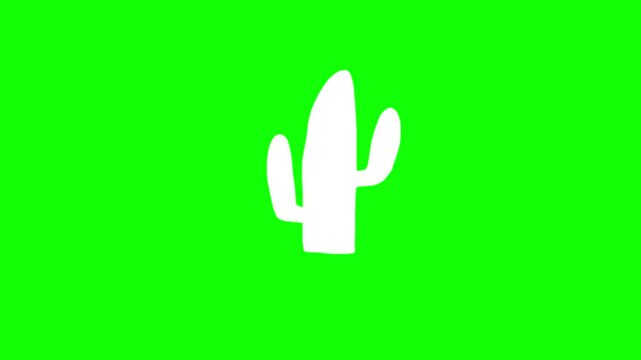 Hand drawn white cactus frame by frame animation on chroma key green screen background.	
