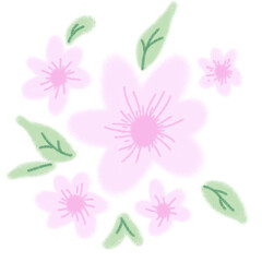 cute pink flower pattern transparent