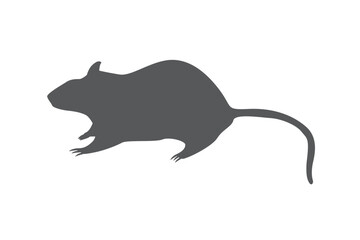 rat icon, vector design