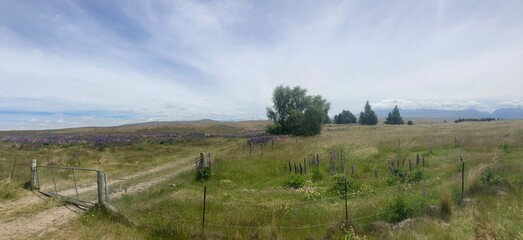 grassy field with clouds and trees overhead green hills 