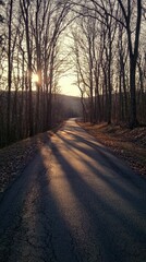 Fototapeta premium Tranquil Sunset Road Surrounded by Leafless Trees in Winter