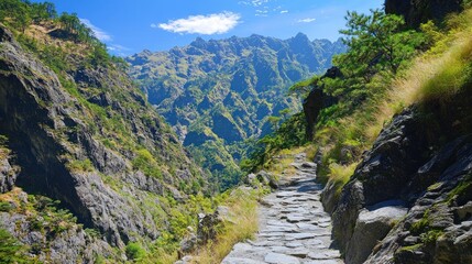 Fototapeta premium Majestic Mountain Trail: A Breathtaking Hike Through Rugged Terrain
