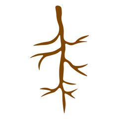 Obraz premium Taproot