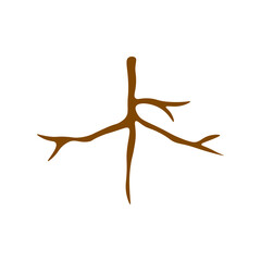 Obraz premium Taproot