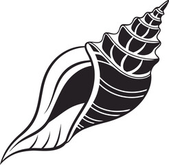 vector illustration of a snail shell, vector illustration of seashell