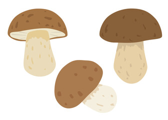 ポルチーニ茸のイラストセット6