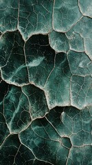 Cracked Dark Green Surface with Unique Texture and Intricate Patterns