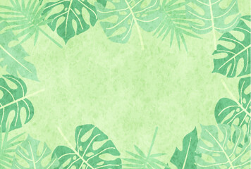 ヤシ　観葉植物　南国　背景