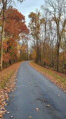 Fototapeta premium Serene Autumn Scene on Winding Road Surrounded by Colorful Foliage