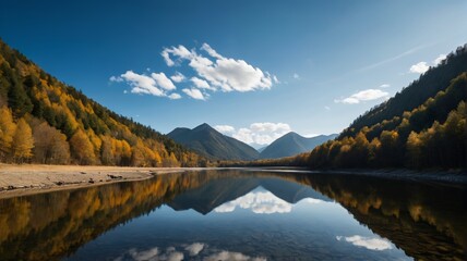 Fototapeta premium trees are reflected in the water of a mountain lake
