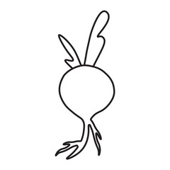 Storage Roots line icon