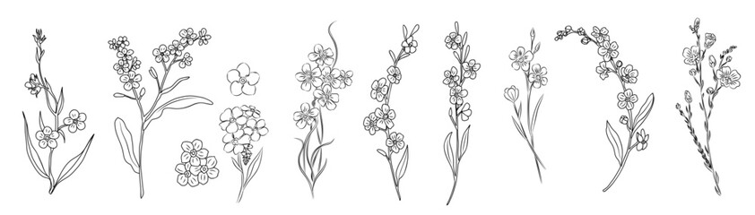 Set of Forget me not flower line art vector illustrations. Myosotis monochrome hand drawn black ink sketch isolated on transparent background. Modern minimalist design for tattoo, jewelry, logo. © Creative_Juice_Art