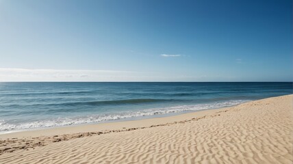 araffes on the beach with a surfboard in the sand