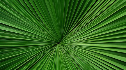 Close-up of a vibrant, large, green palm leaf. Details in botanical nature for design and background
