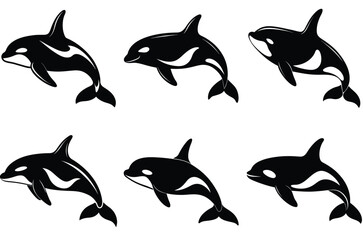 Naklejka premium killer orca silhouettes, shark orca whale silhouette vector set